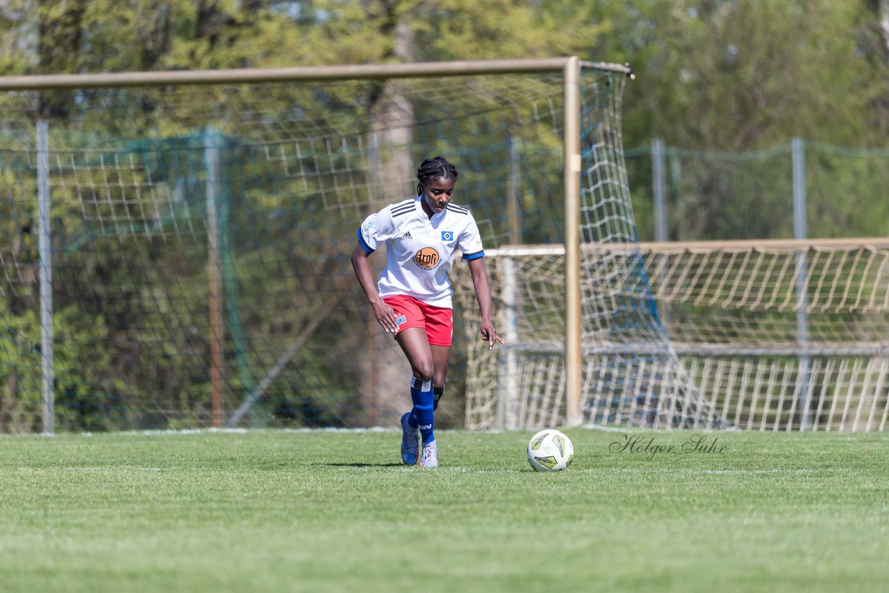 Bild 113 - wBJ Hamburger SV - WfL Wolfsburg : Ergebnis: 2:1